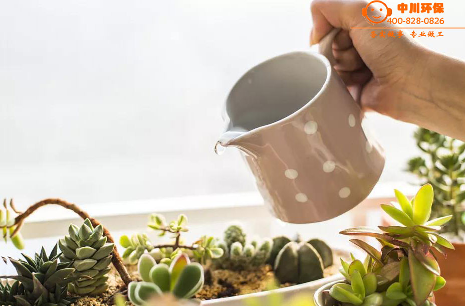 动态2.jpg 动态2.jpg