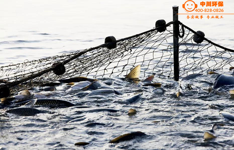 动态3.jpg 动态3.jpg